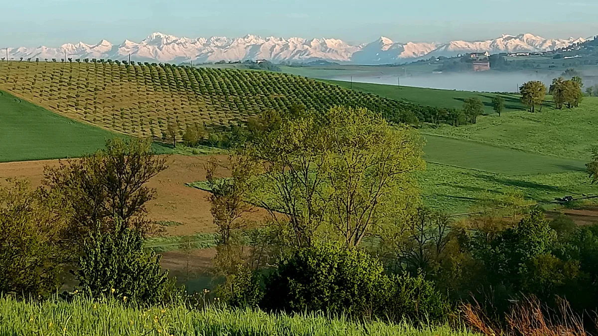 Rustic dream home in Italy – 3,000 m² surrounded by greenery with panoramic views, snowy Alps and green fields in the foreground.