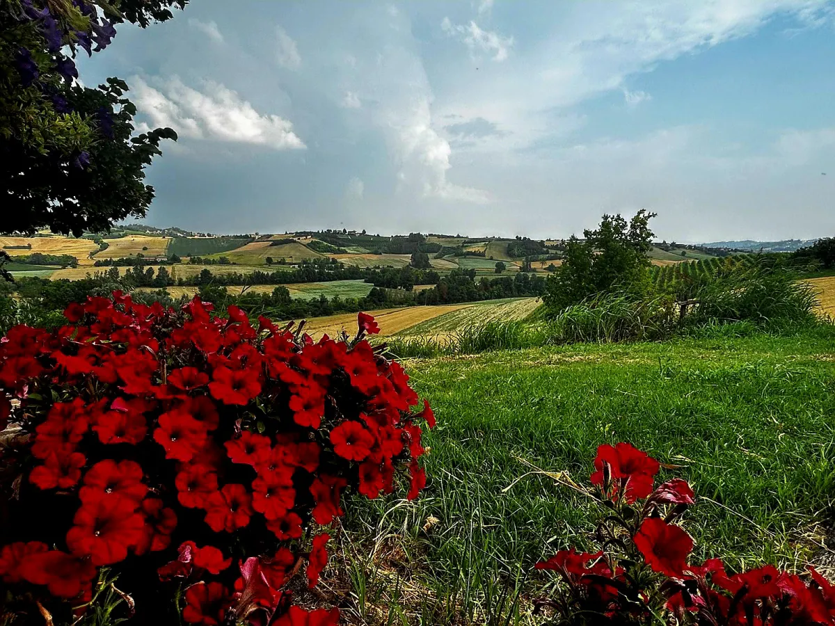 Rustic dream home in Italy – 3,000 m² surrounded by greenery with panoramic views, flower bed with view of rolling hills.